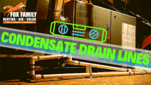 310.1 Condensate Drains:  Understanding the Codes